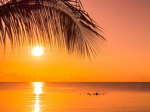 Photo gratuite belle plage tropicale mer et océan avec cocotier au lever du soleil