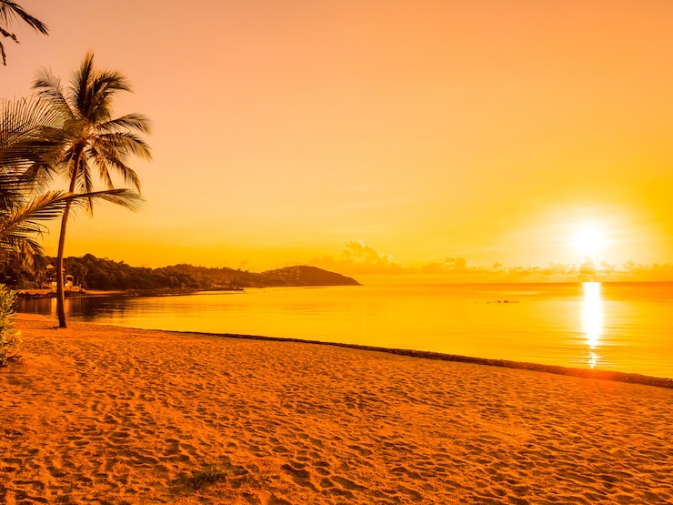 Photo gratuit belle plage tropicale mer et océan avec cocotier au lever du soleil