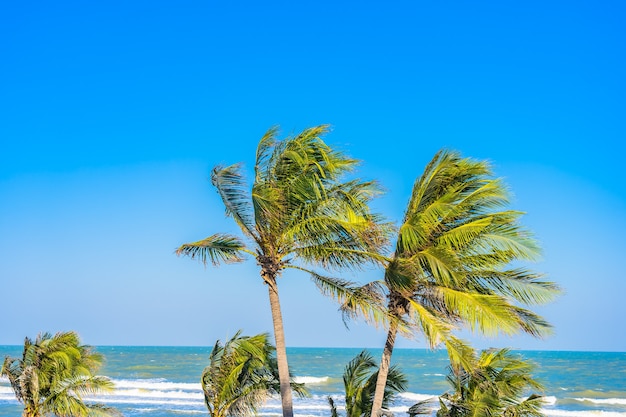 Belle plage tropicale mer océan avec palmier sur ciel bleu