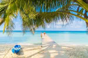 Photo gratuite belle plage tropicale et la mer