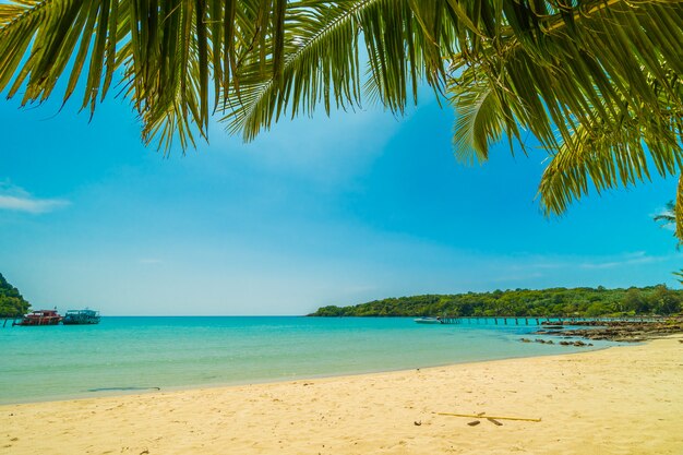 Belle plage tropicale et la mer