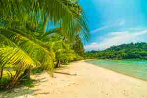 Photo gratuite belle plage tropicale et la mer
