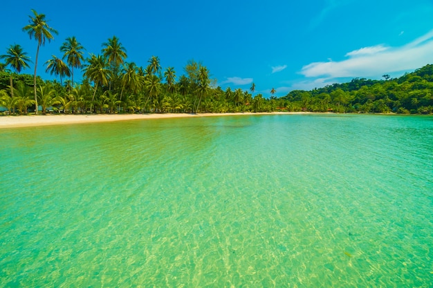 Belle plage tropicale et la mer