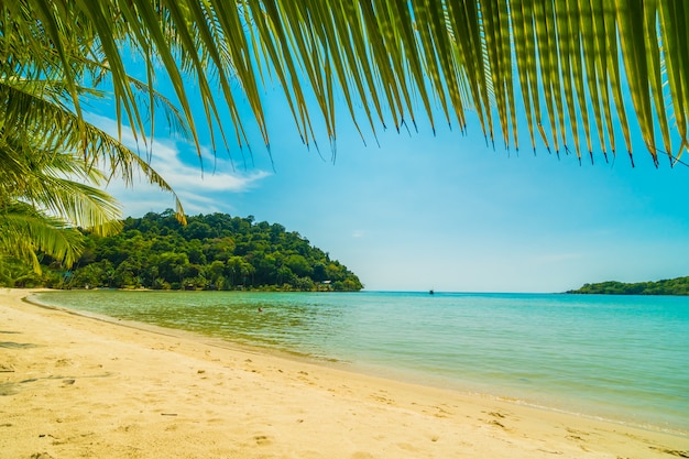 Belle plage tropicale et la mer