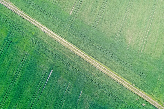Belle prise de vue aérienne d'un champ agricole vert