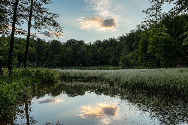 Photo gratuite belle prise de vue en grand angle du paysage verdoyant se reflétant dans le lac gosh, arménie