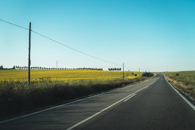 Belle route traversant un champ couvert d'herbe et une ferme pleine de fleurs jaunes