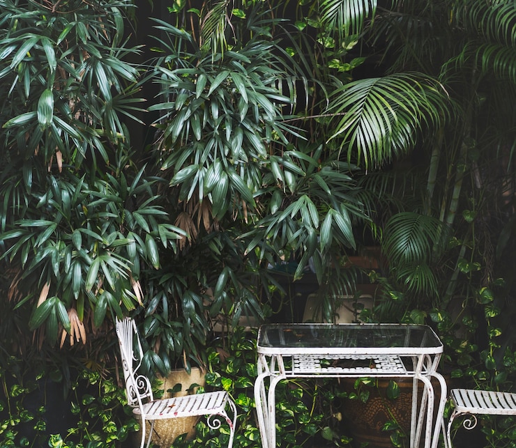 Photo gratuit une belle verdure.