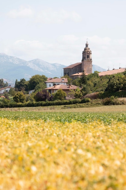 Belle ville d'Alava à la lumière du jour