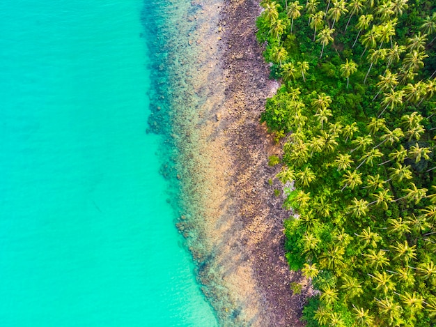 Belle vue aérienne de la plage et de la mer avec un cocotier