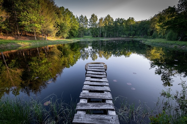 Belle vue sur les arbres aux couleurs d'automne se reflétant dans un lac avec une promenade en bois