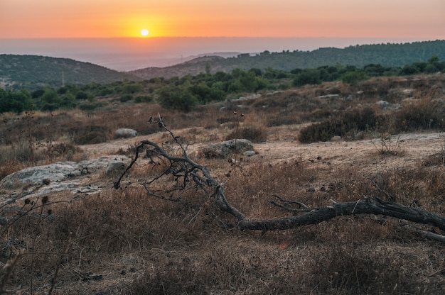 Photo gratuite belle vue sur le coucher de soleil à l'horizon sur un champs vallonné