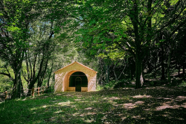 Belle vue dans le parc animalier de l'Arche de Ponadieu, situé dans les Alpes Maritimes, France