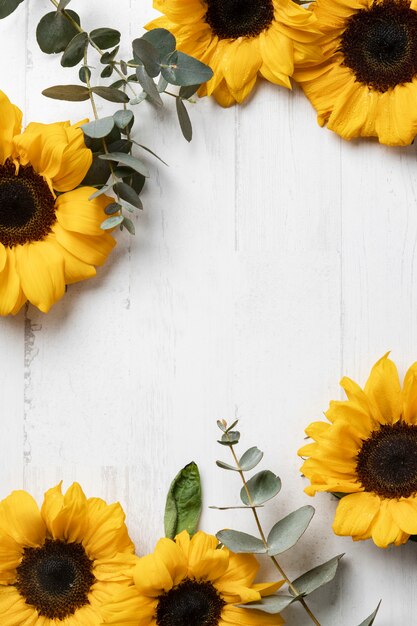 Belle vue de dessus de cadre de tournesol