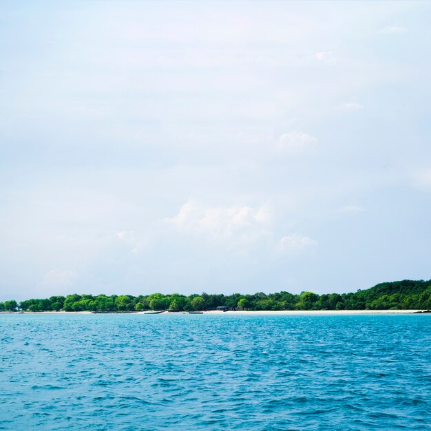 Belle vue sur une mer bleue