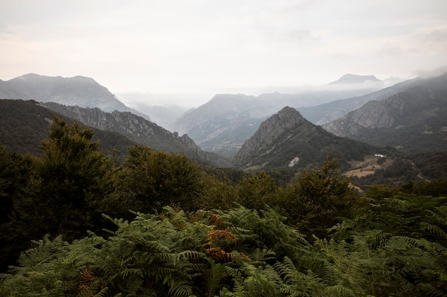 Belle vue sur la montagne avec ciel nuageux