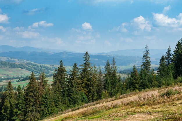 Belle vue sur les montagnes des Carpates d'été