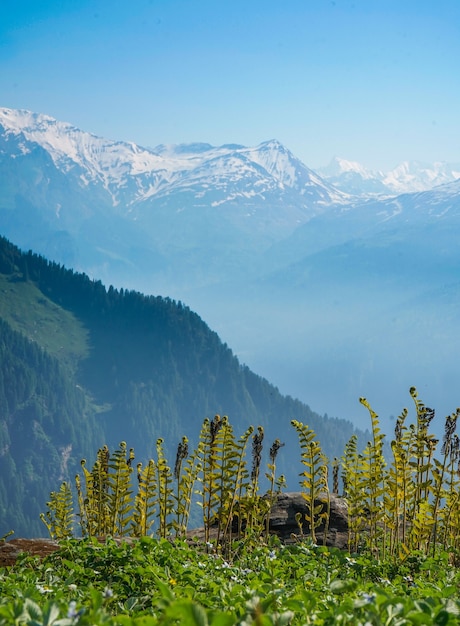 Belle vue sur les montagnes par une journée ensoleillée