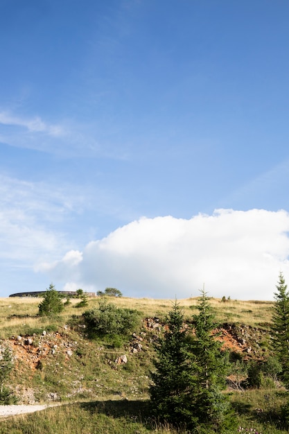 Belle vue sur la nature à la lumière du jour