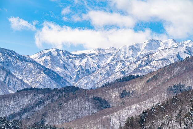 Belle vue panoramique sur les montagnes couvertes de neige avec des arbres nus