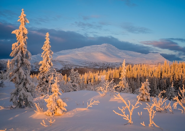 Belle vue sur le paysage d'hiver au coucher du soleil