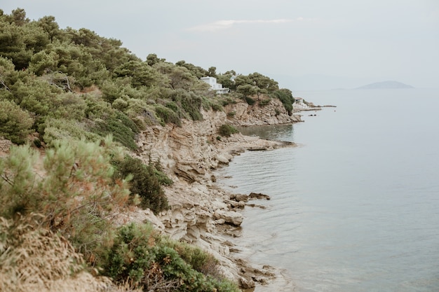 Photo gratuite belle vue sur une pente rocheuse couverte de verdure près de l'eau