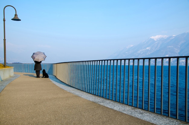 Belle vue d'une personne avec un parapluie et un chien debout sur une jetée au bord de l'océan