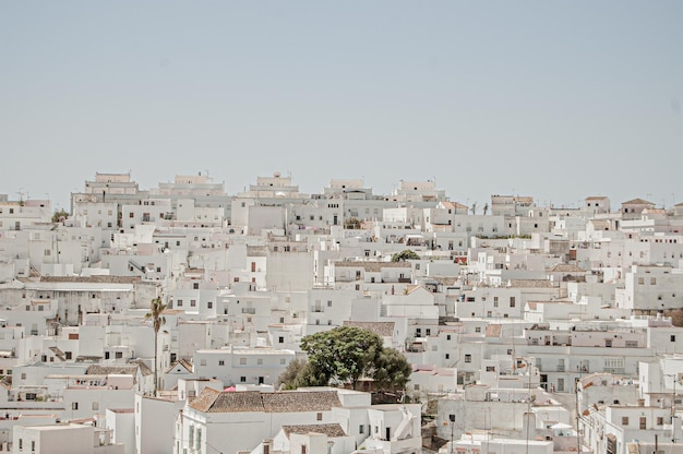 Photo gratuite une belle vue de petits bâtiments blancs sous un ciel bleu clair