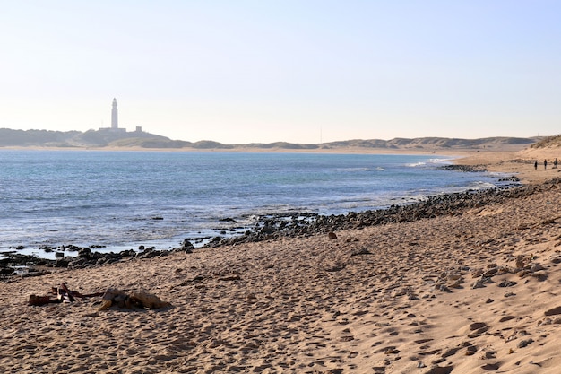 Belle vue sur le phare