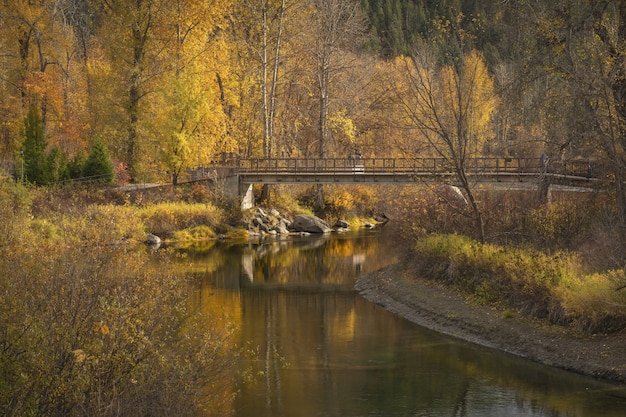 Belle vue sur un pont sur la rivière avec des arbres à feuilles jaunes et brunes