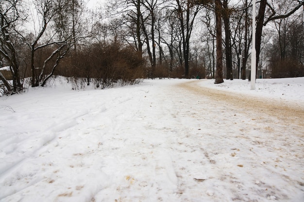 Belle vue sur la route du parc et les arbres couverts de neige un jour d'hiver