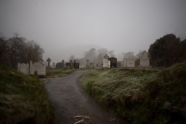 Belle vue sur un vieux cimetière entouré d'arbres capturés par temps brumeux