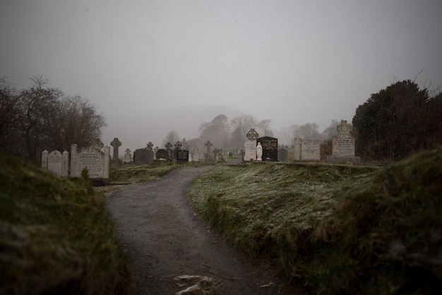 Belle vue sur un vieux cimetière entouré d'arbres capturés par temps brumeux