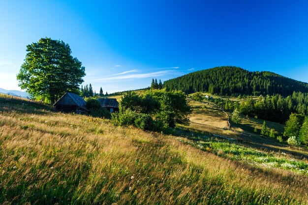 Belle vue sur village dans les montagnes des Carpates ukrainiennes