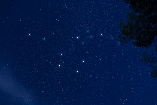 Belles constellations sur le ciel bleu