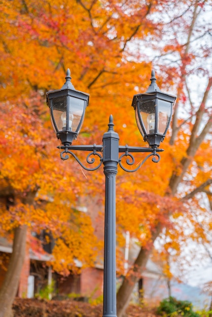 Photo gratuite belles feuilles d'automne colorés