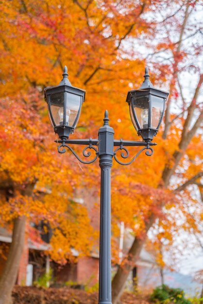 Belles Feuilles d&#39;automne colorés