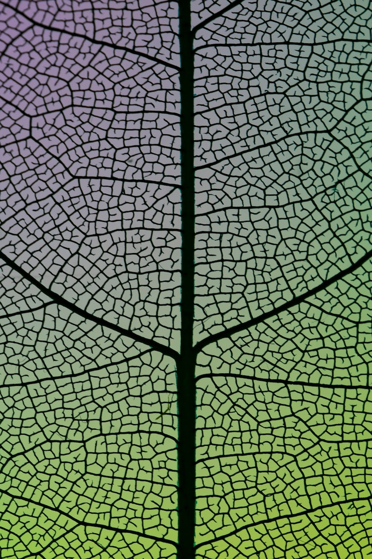 Photo gratuit belles feuilles d'automne vertes abstraites