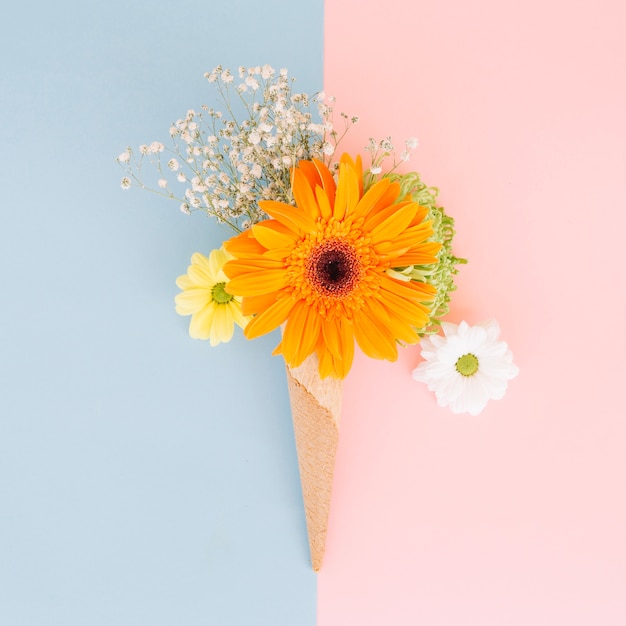 Belles fleurs composées en cône