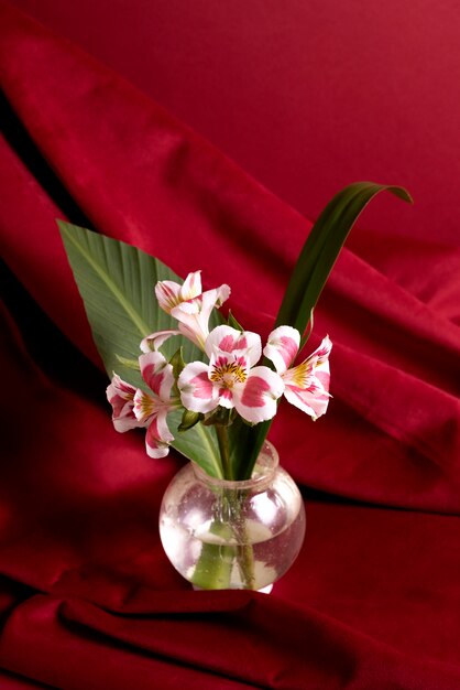 Belles fleurs dans un vase à fond rouge