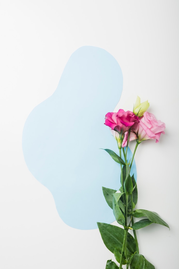 Photo gratuit belles fleurs sur fond bleu et blanc