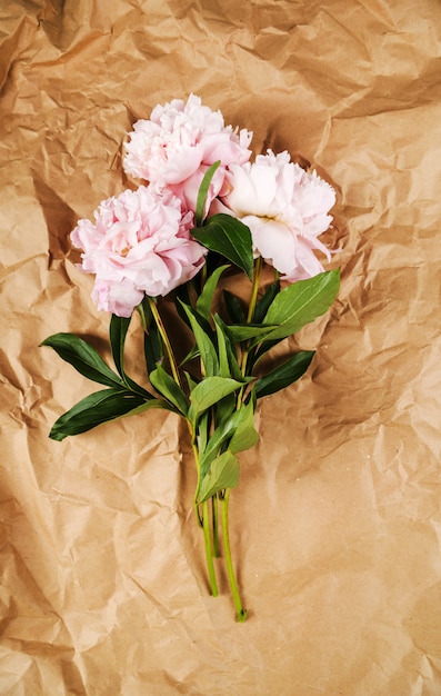 Photo gratuite de belles fleurs de pivoine fraîches