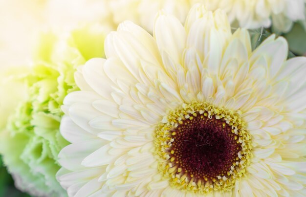 Belles fleurs pour valentines et scène de mariage