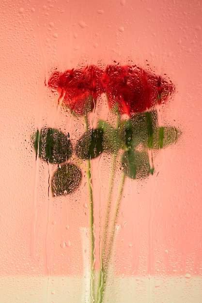 Belles fleurs vues derrière le verre d'humidité