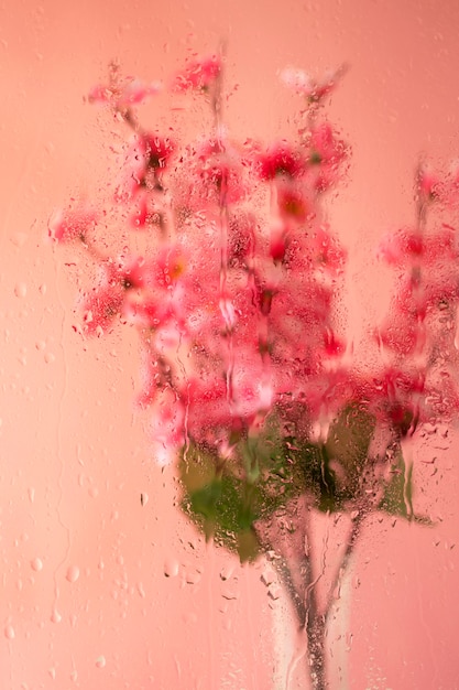 Photo gratuite belles fleurs vues derrière le verre d'humidité