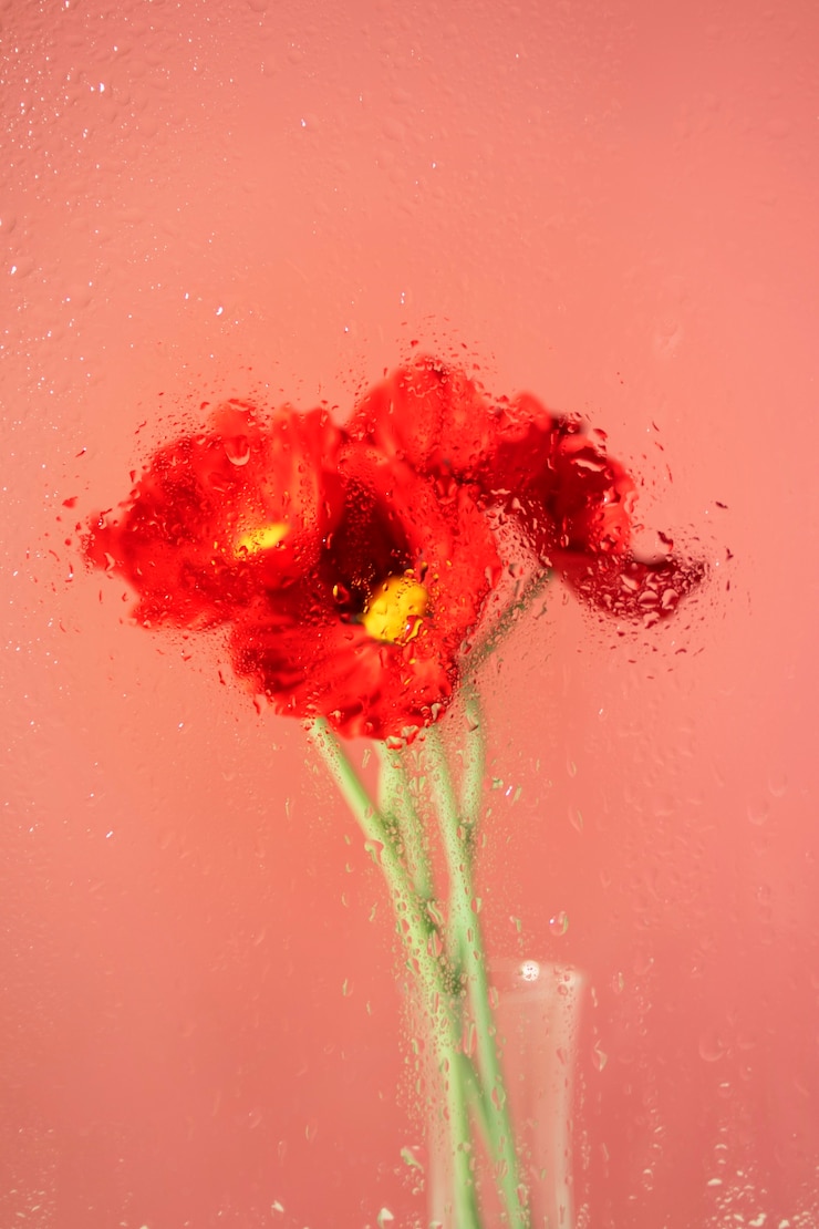 Photo gratuit belles fleurs vues derrière le verre d'humidité