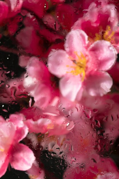Belles fleurs vues derrière le verre d'humidité