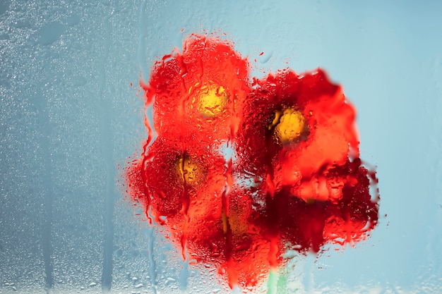 Belles fleurs vues derrière le verre d'humidité