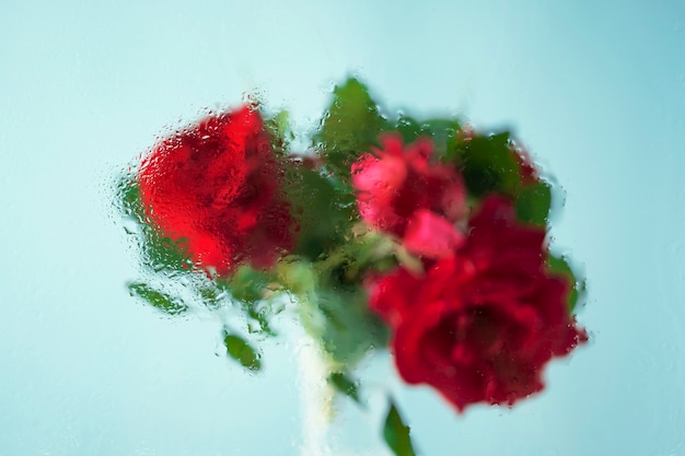 Belles fleurs vues derrière le verre d'humidité