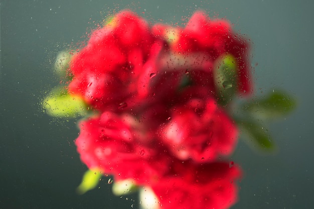 Belles fleurs vues derrière le verre d'humidité